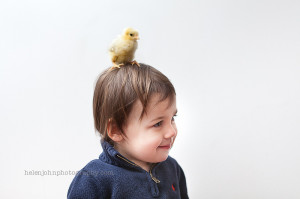 baby chick and bunny photo sessions maryland-1-4