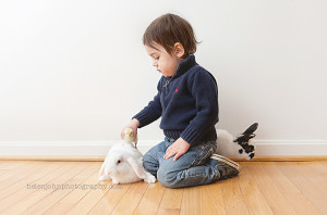 baby chick and bunny photo sessions maryland-2