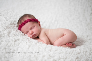 washington dc newborn photographer-2