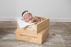 washington dc newborn photographer-10