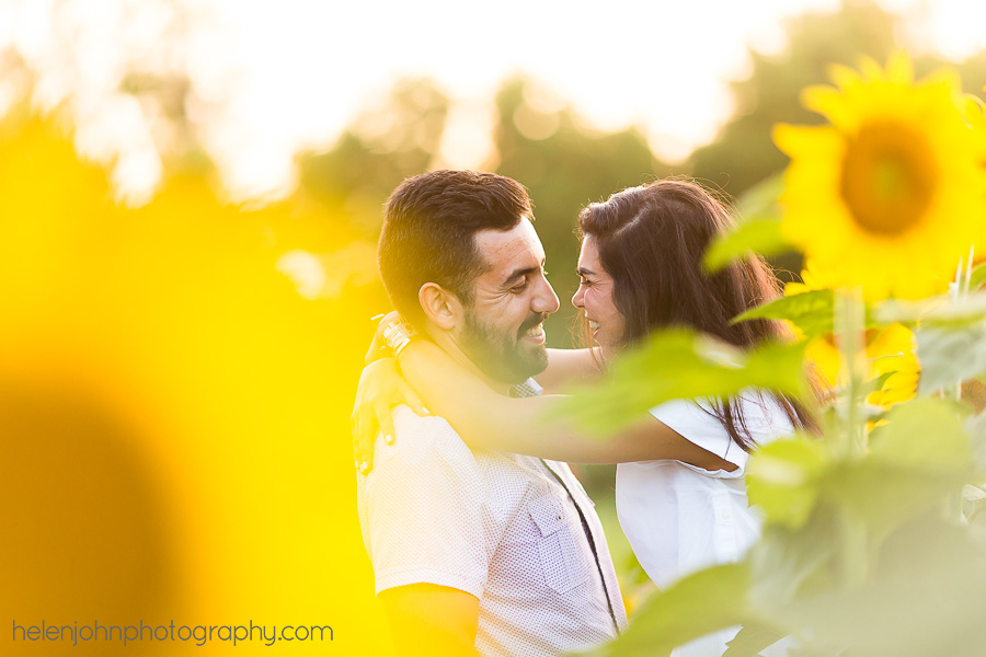 Engagement session in sunflower field