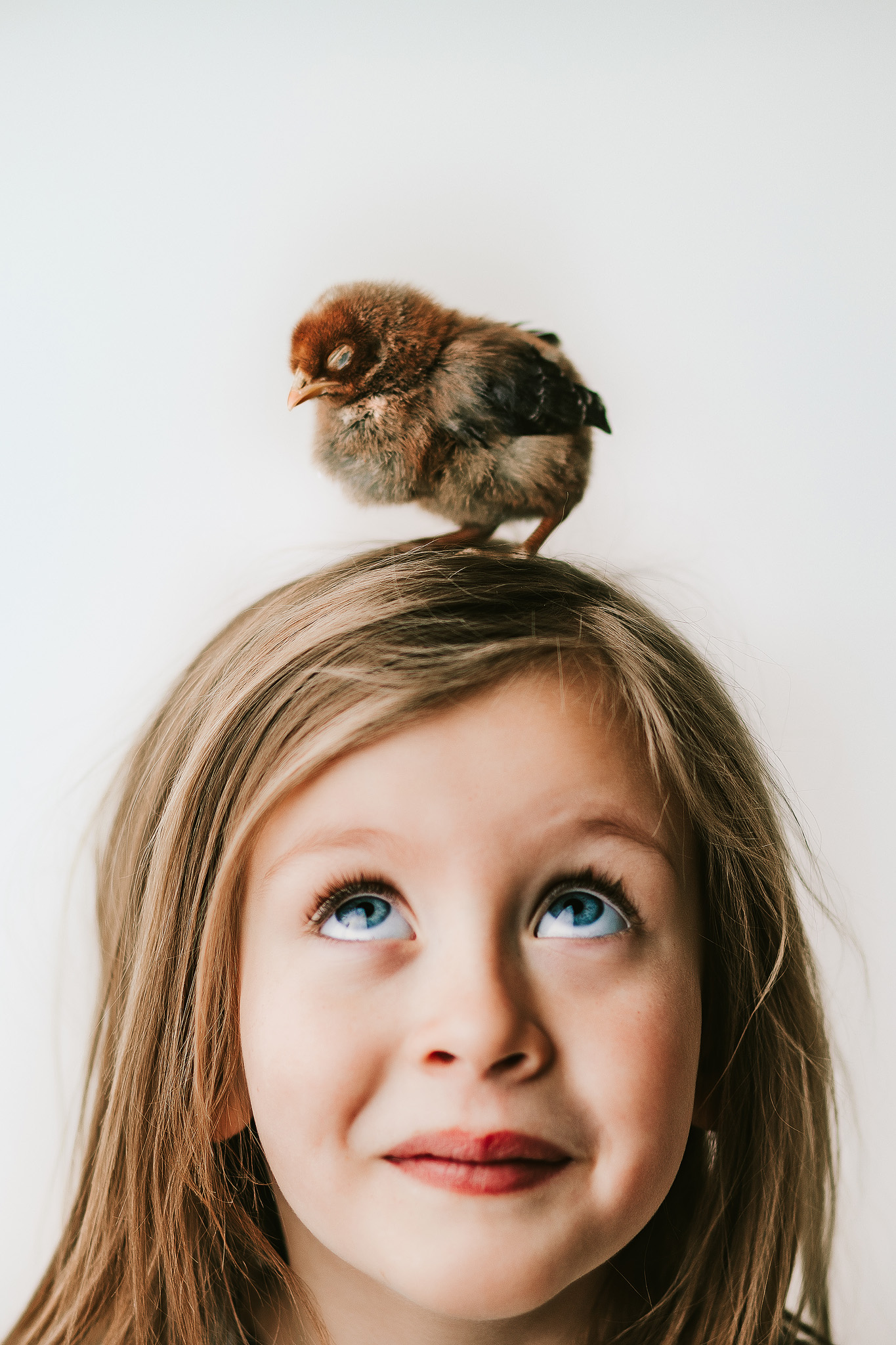 baby chick sleeping on girls head