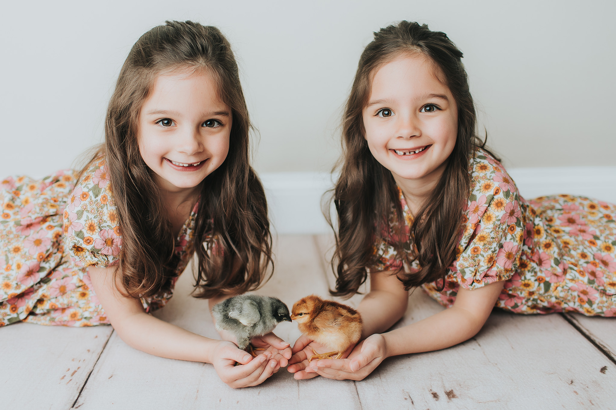 baby chick mini session twin girls