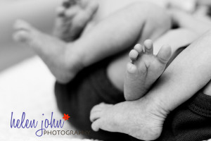 maryland newborn twins photographer