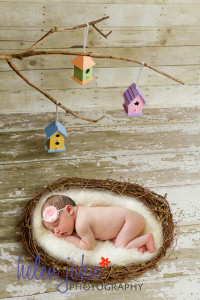 gaithersburg maryland newborn photographer-1