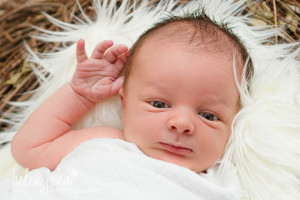 gaithersburg newborn photographer-1