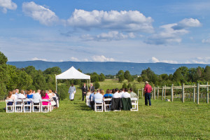 maryland wedding photographer