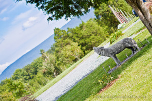 maryland wedding photographer