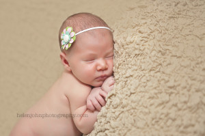 premier potomac maryland newborn photographer