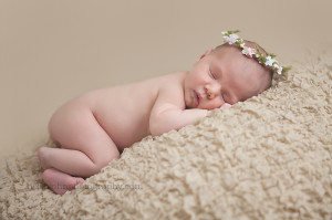 premier potomac maryland newborn photographer