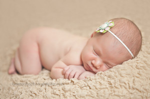 premier potomac maryland newborn photographer