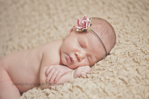 premier potomac maryland newborn photographer