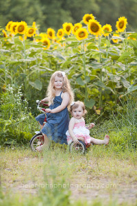 sunflower mini session photographer-15