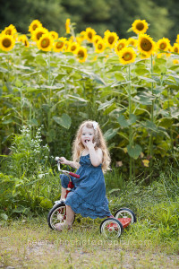 sunflower mini session photographer-14