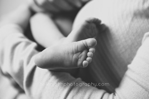 best newborn photographer in maryland-23
