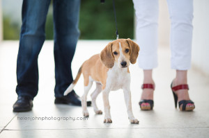 top washington dc engagement photographer-35