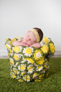 washington dc newborn photographer-14