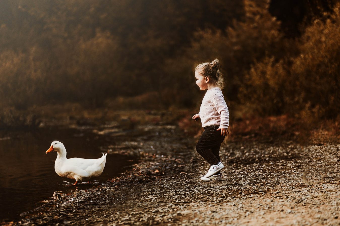 toddler girl chasing duck