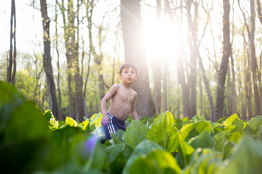 4 year old boy in woods at sunset