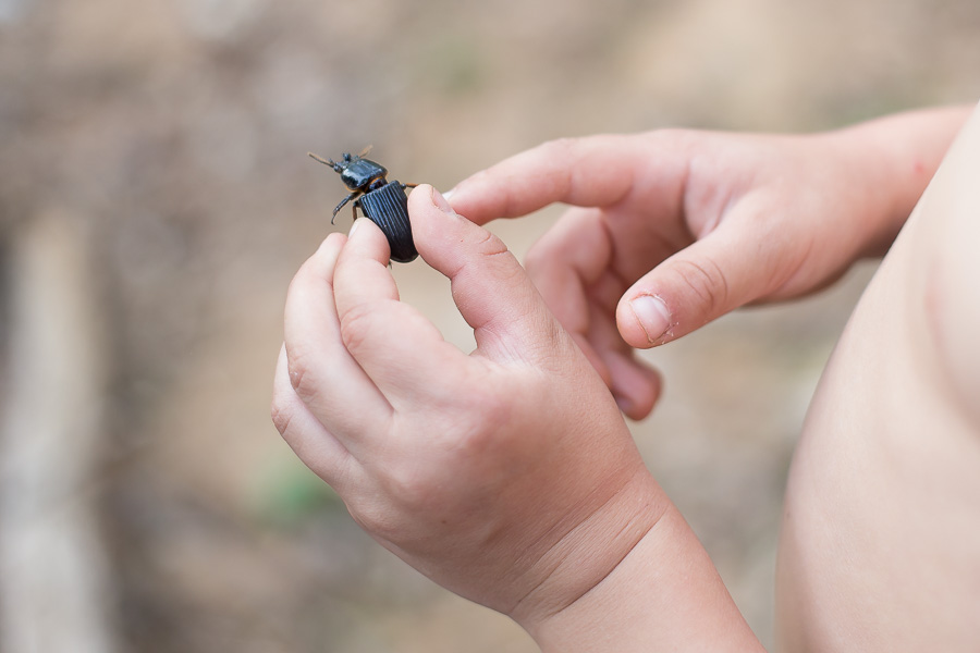 boy holind large beetle