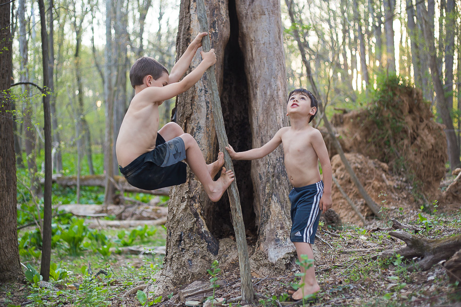 boys climbing tree in woods