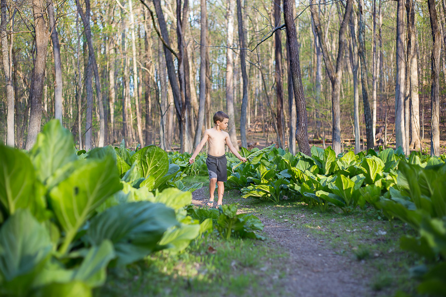 7 year old boy in woods