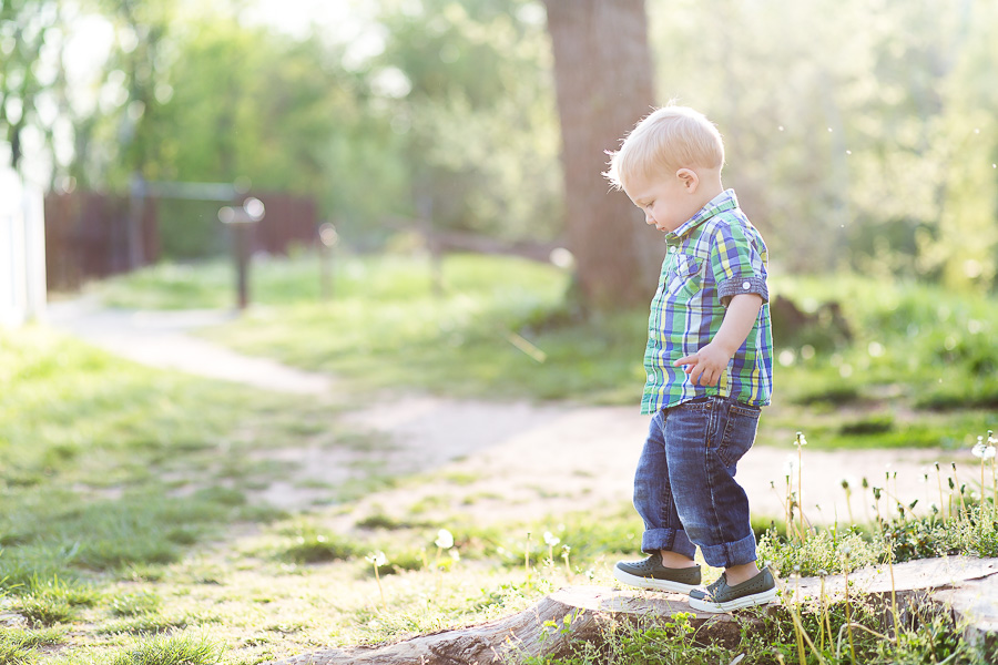 little boy standing on stump