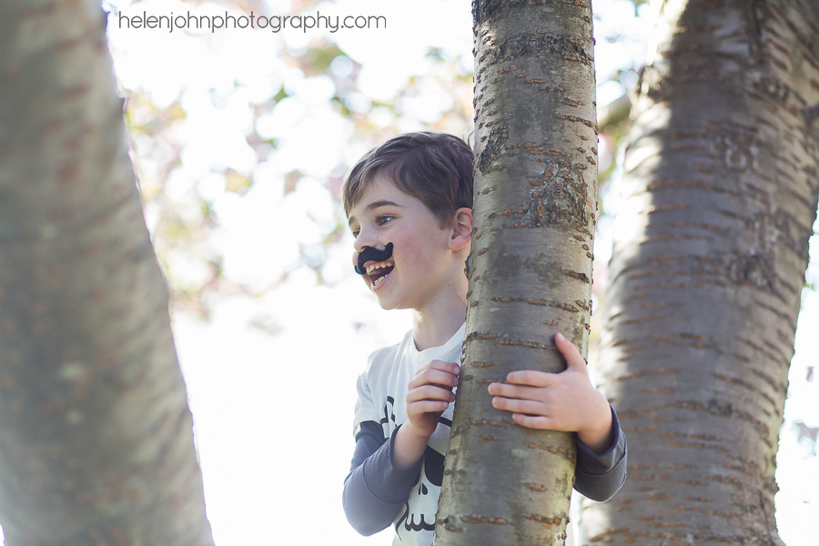 Little boy playing in a tree