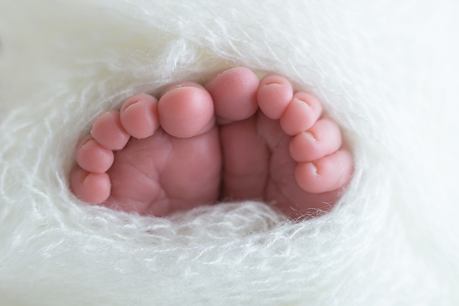 newborn toes in moair blanket