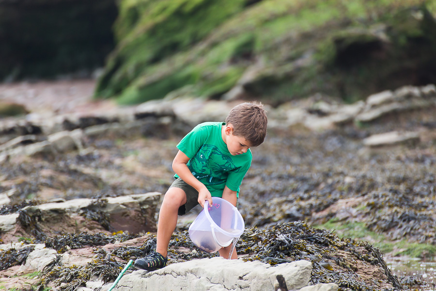 little boy hunting in rockpools