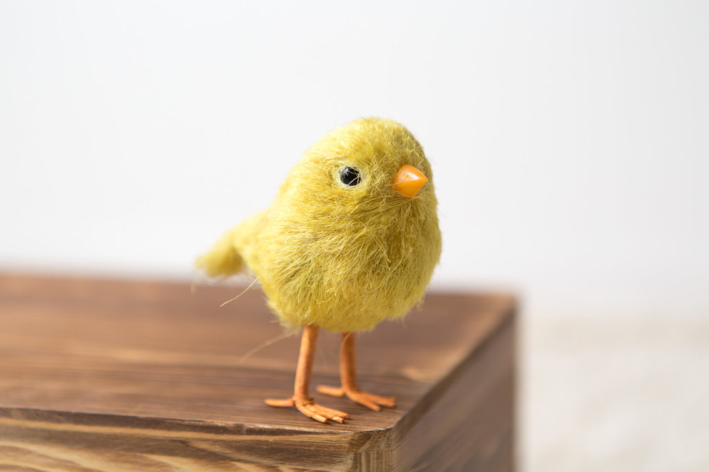 faux yellow baby chick