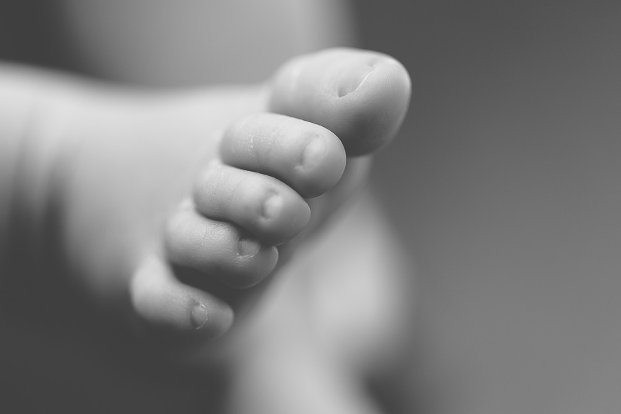 black and white of newborn toes