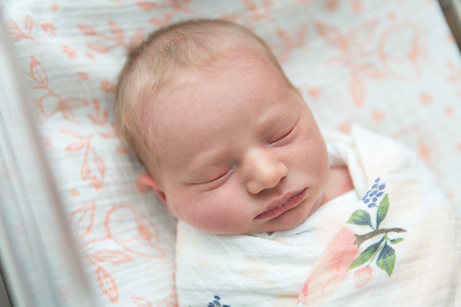 newborn girl with chubby cheeks sleeping on pink floral blanket