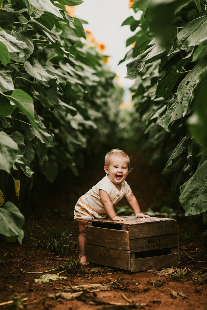 baby laughing in sunflower field